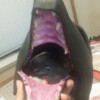 Inner jaw has been painted and teeth set into place
