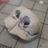 Sculpted and baked nose